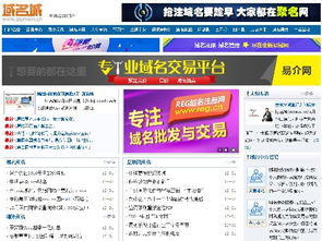 換個(gè)域名，竟如換棟別墅？互聯(lián)網(wǎng)域名注冊(cè)服務(wù)的價(jià)值與策略